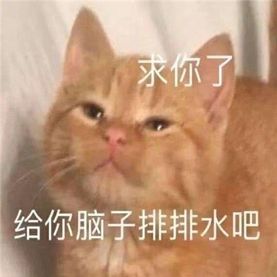 很日常的很实用的聊天表情 今天我就把话放着了