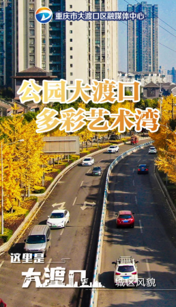 大渡口之声app 大渡口之声app