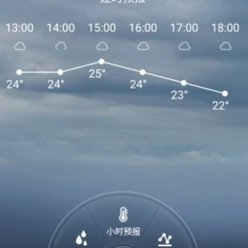ͣ����ٷ�����