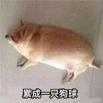 006aoXHOgy1gxje8rt6ljj30k00k00v9.jpg 006aoXHOgy1gxje8rt6ljj30k00k00v9.jpg