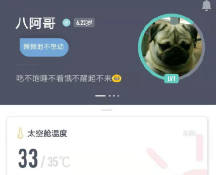 萌王星app 萌王星app