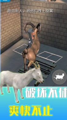 �����ĳԼ�