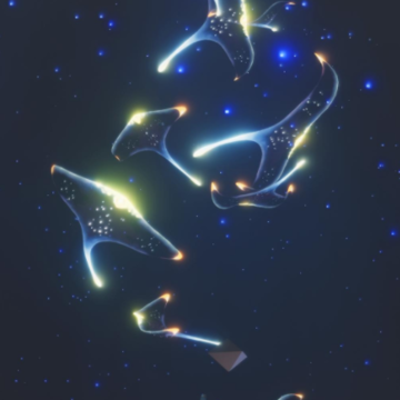 sky���������