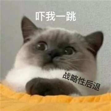 0070XTeOgy1gves5yzyb8j60sg0s041e02.jpg