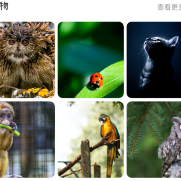 ��̬����app