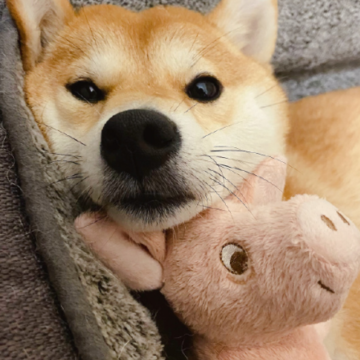 image.png image.png