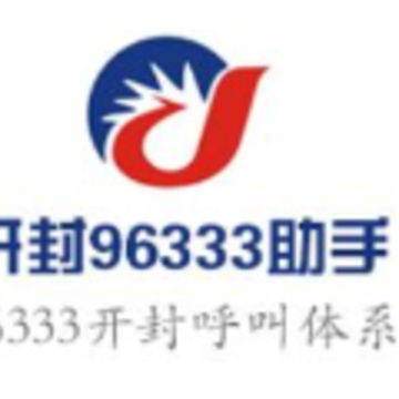 96333��������app