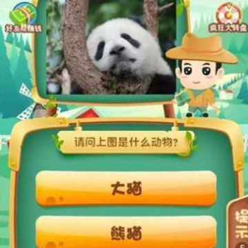 动物滑滑乐 动物滑滑乐