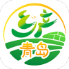 乡产青岛app(乡村文化旅游资讯)v1.1.01 安卓版