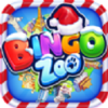��������԰Bingo Zoov1.28.0 ��׿��