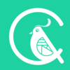��ȸv1.0.0 �ٷ���