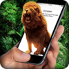 Lion On Screen�ֻ���Ļ��ʨ��3dЧ����v1.7 ��Ѱ�