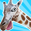 �ǳ��ںϵ�¹v1.0 ��׿��