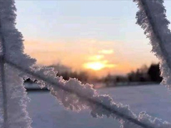 �������������İ�������Ȧ �������Ĺ�������˵˵