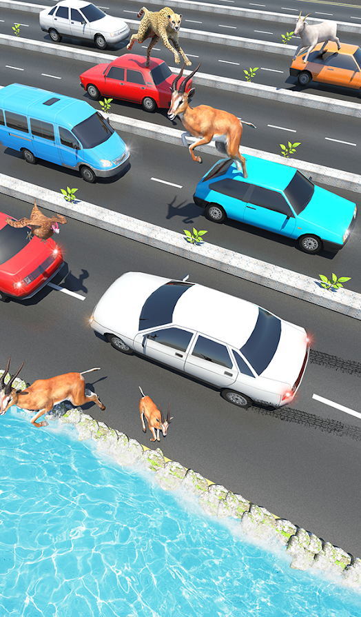 动物公路跳跃Animal Pets Traffic Highway Cross