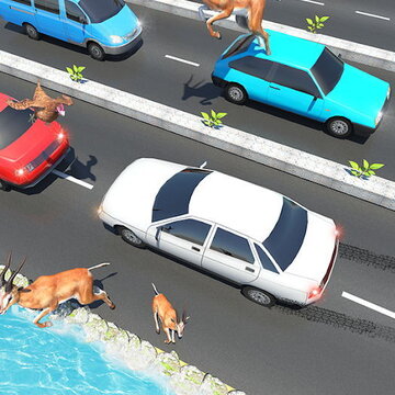 动物公路跳跃Animal Pets Traffic Highway Cross 动物公路跳跃Animal Pets Traffic Highway Cross