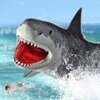 �������繥��3DSea Shark Attackv1.0 ��׿��