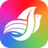 ����ǰ�Appv2.6.9 ��׿��