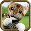 �ɰ���èģ����Cute Cat Simulator Gamesv1.0.3 ��׿��