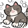 èèϴ��Cat Laundryv1.1��׿��