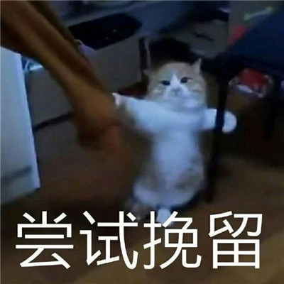 �������ŵĳ������������ �����ֺ���Ƥ�ı���