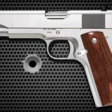ǹ��ģ����Armory Guns