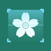 ʶ��ʶ��appv1.1 ��׿��