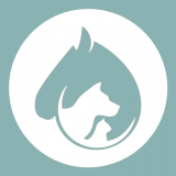 咪普驿管通appv1.0.0 最新版