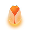 ө��֮��appv1.0 �ֻ���