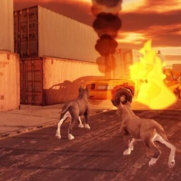 ����Ȯģ����Pitbull Dog Simulator