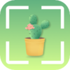 ��ͼʶ��appv1.1 ��׿��