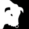 С��ţBeware Of The Bullv1.0.1 ��׿��