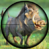 �������Pig Hunting Shooting Gamev1.0.11 ��׿��