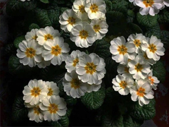 �������鲻��ů�ĵĻ� ���鲻�����ҵ��ڵ���¼