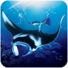 ģ(The Manta rays)v1.0.3 ׿