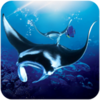 ����ģ����(The Manta rays)v1.0.3 ��׿��