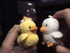�������ɳ����ӷ�����Ȧ �ܸ�Ц�ķ�������İ�
