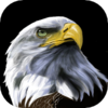 ���׿�appv1.0.1 ��׿��