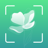 ʶ����ֲ��ʶ��app1.1