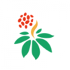 ����ͨappv1.1.1 ���°�