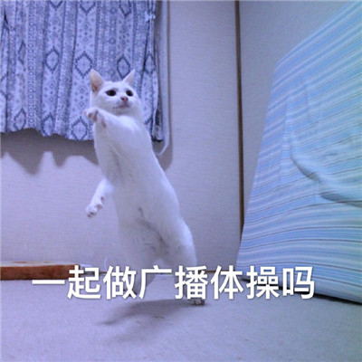 ��ȫ����΢��������� һ�����㲥�����