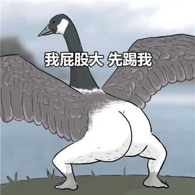 ɧ��ɧ���Ĵ����ƨƨ����� ��ƨ�ɴ�������