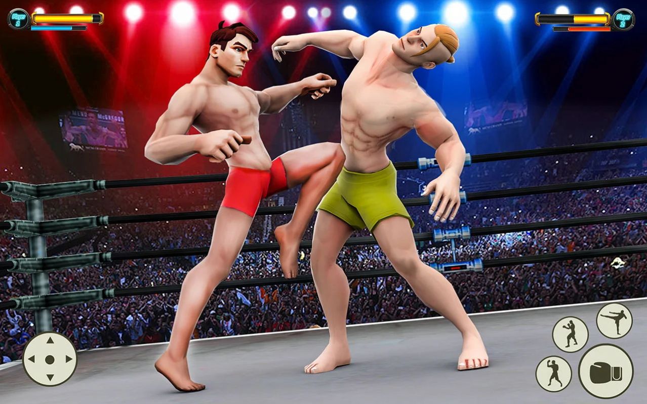 ��ȭ��������Grand Robot Ring Fighting Gamev1.21 ���°�