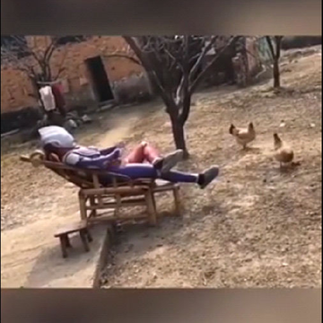 ΢��״̬��Ƶapp