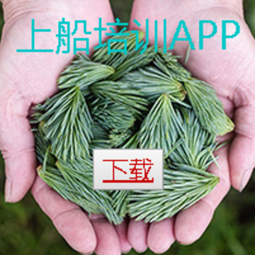 上船培训app 上船培训app