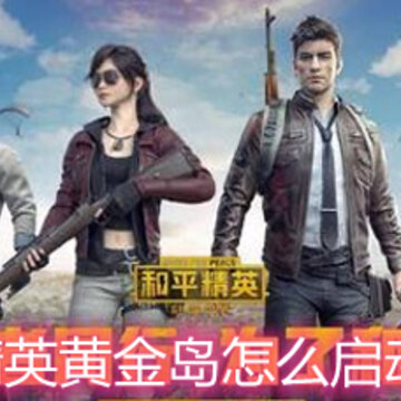 ��ƽ��Ӣ�ƽ���ô������� �ƽ𵺿����������