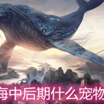 妄想山海中后期什么宠物比较好 中后期宠物推荐详解 妄想山海中后期什么宠物比较好 中后期宠物推荐详解