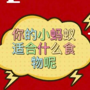 啃食大作战 啃食大作战