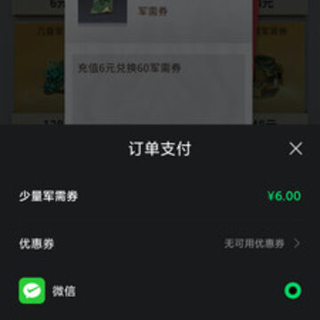 ����֧������