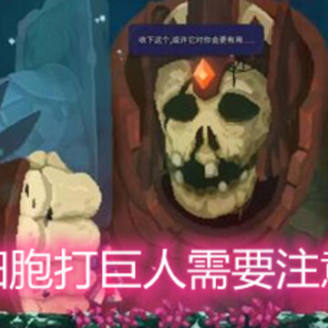 ����ϸ���������Ҫע��ʲô ���˹��Լ������